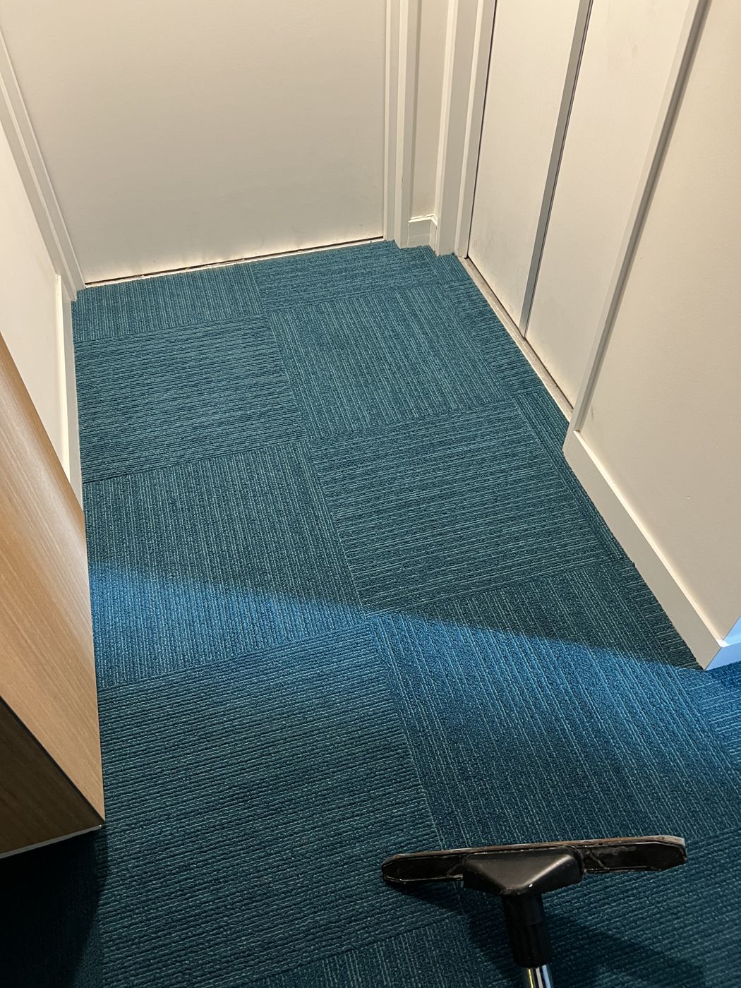 After — cleaned carpet
