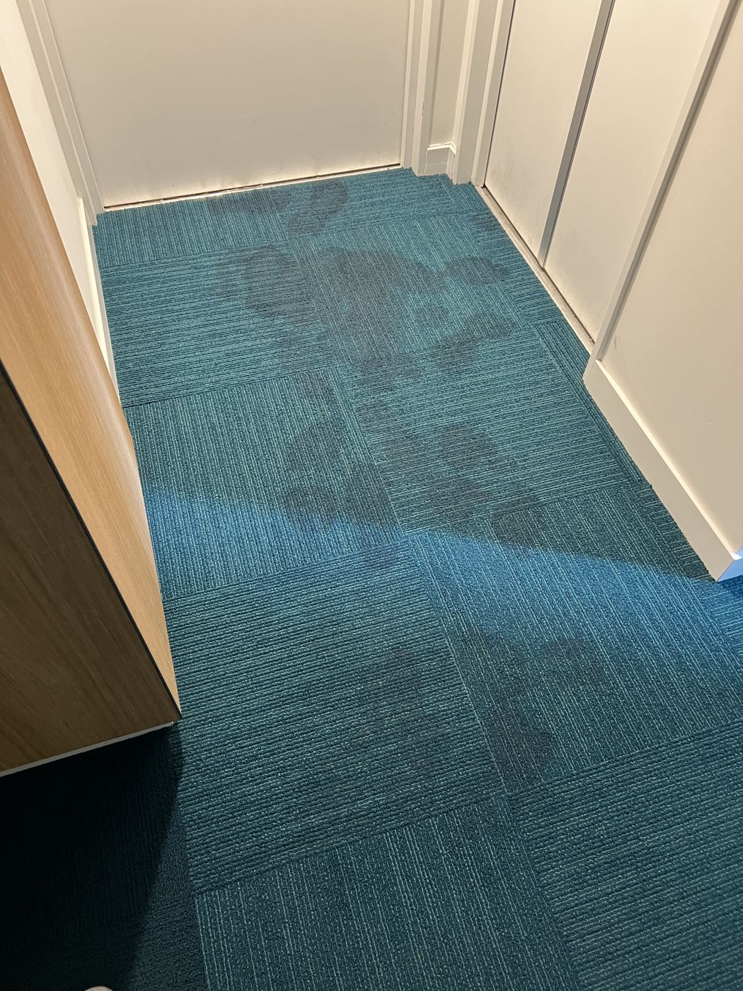 Before — stained carpet