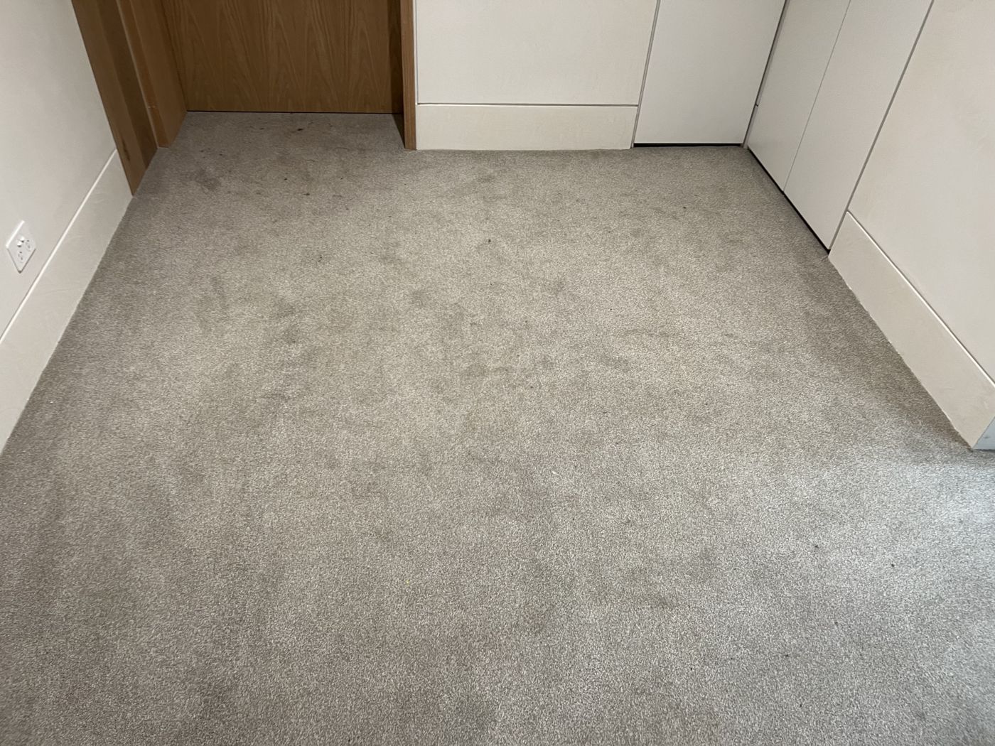 Before — stained grey carpet