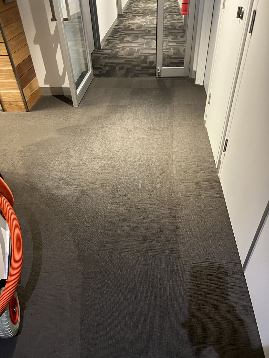 After — extracted corridor carpet