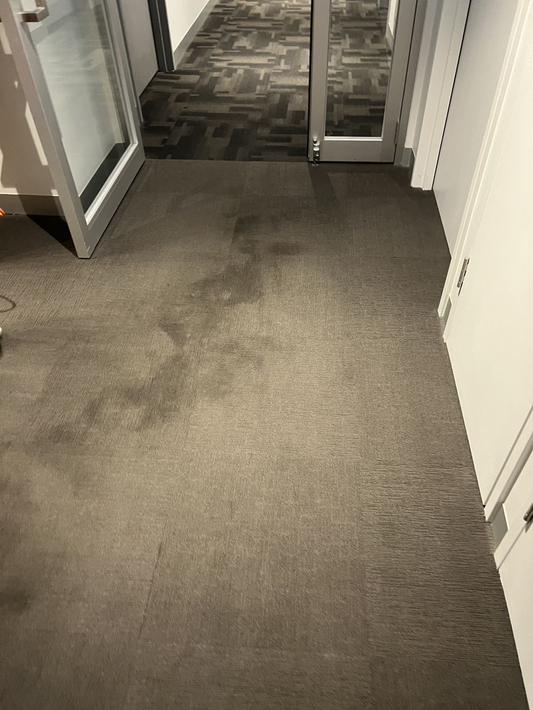 Before — stained corridor carpet